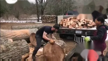 36 Ton Vertical Horizontal Forest Timber Log Splitter
