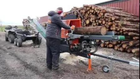 Holzspalter Benzin Holzspalter mit neuem CE (TÜV)